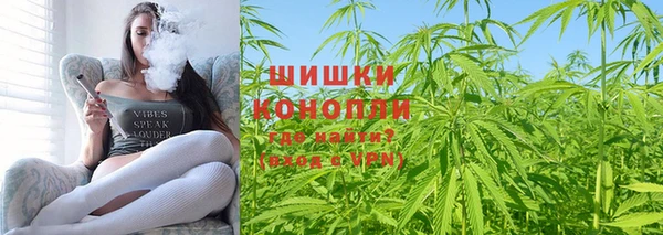 дмт Горнозаводск