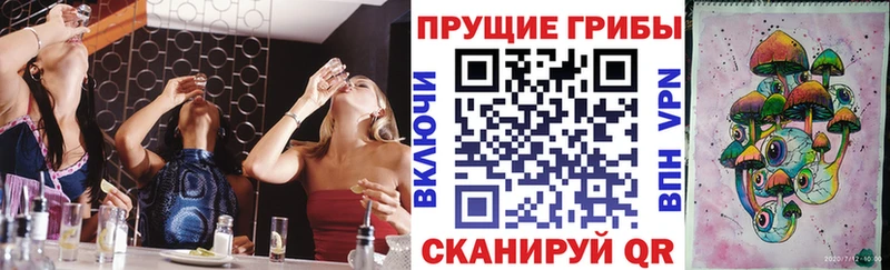 Псилоцибиновые грибы прущие грибы  Севастополь 